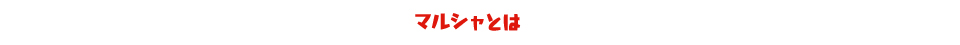 マルシャ・ショーラについて